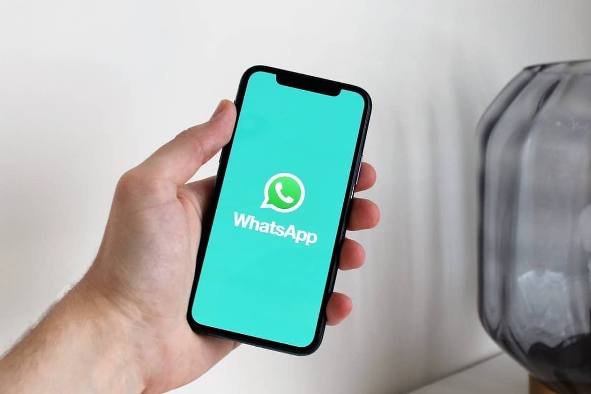 WhatsApp: conserver ces photos et vidéos va devenir payant annonce la plateforme de messagerie