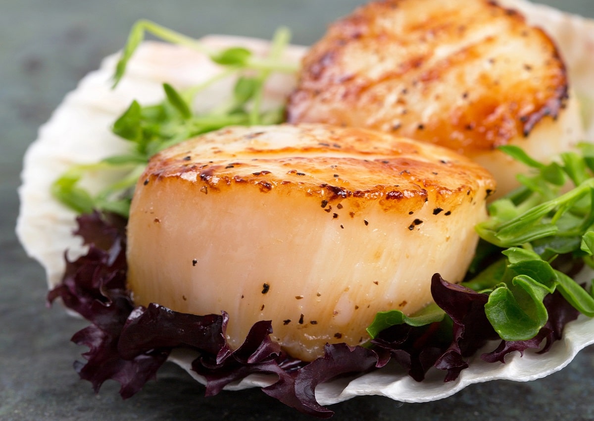 Préparer un Noël festif et économique : Les coquilles Saint-Jacques, un secret bien gardé