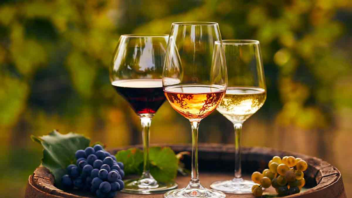 Foire aux vins : les 5 secrets d’un sommelier pour dénicher les meilleures bouteilles (et économiser gros)