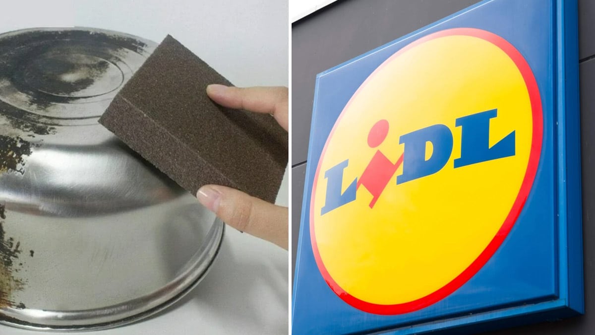 LIDL : l’enseigne fait un carton avec cette éponge innovante que tout le monde s’arrache pour sa cuisine