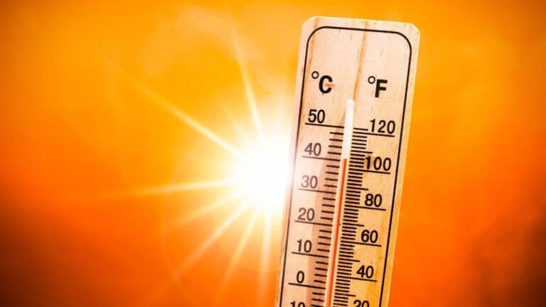 météo chaleur