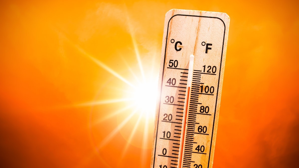 météo chaleur