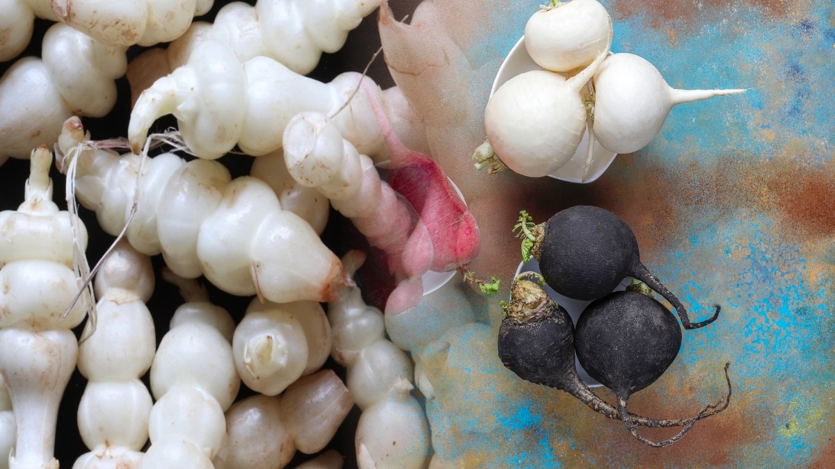 radis noir et crosnes