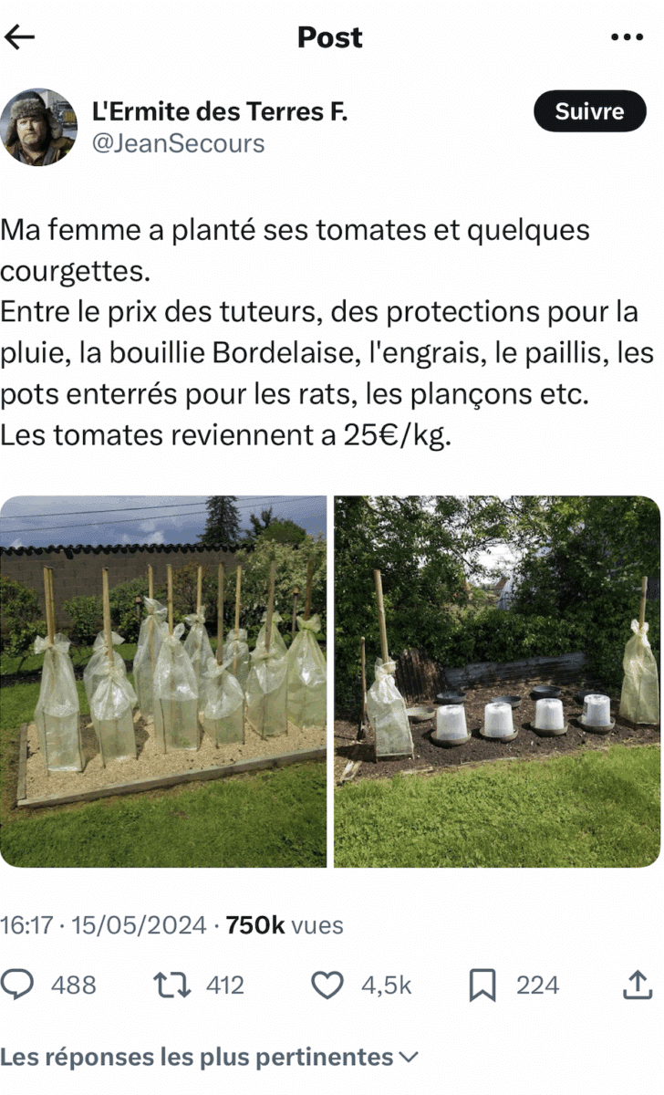 Plants de tomates coût