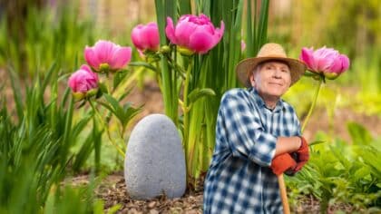 astuce pivoine