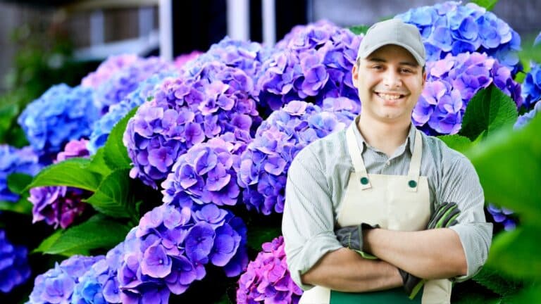 beau hortensia