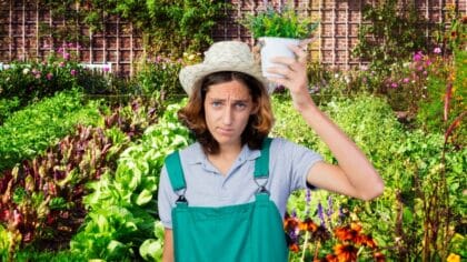 erreur potager
