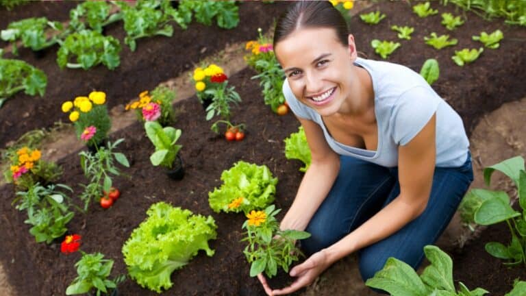 fleurs potager