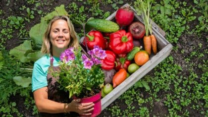 fleurs potager