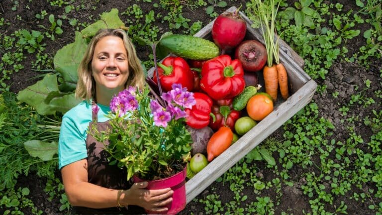 fleurs potager