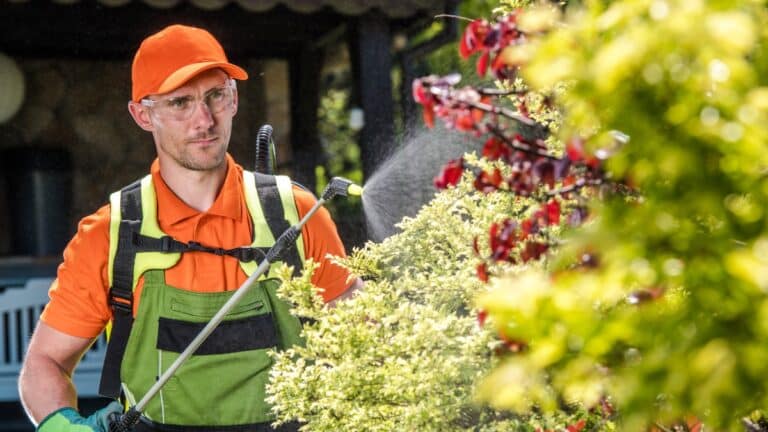 insecticide jardin