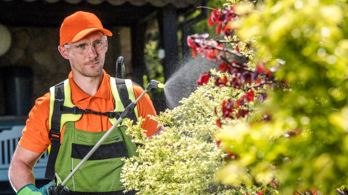 insecticide jardin