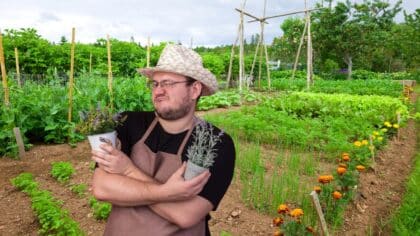 plants haricots (1)