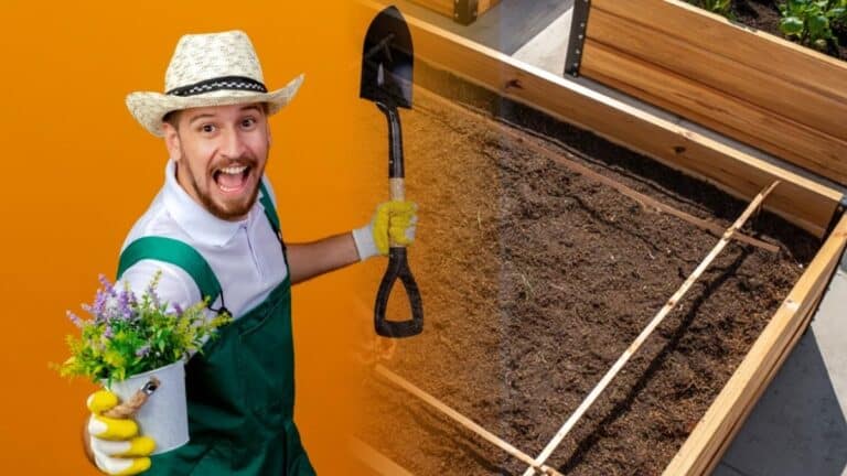 potager sur dalle de béton