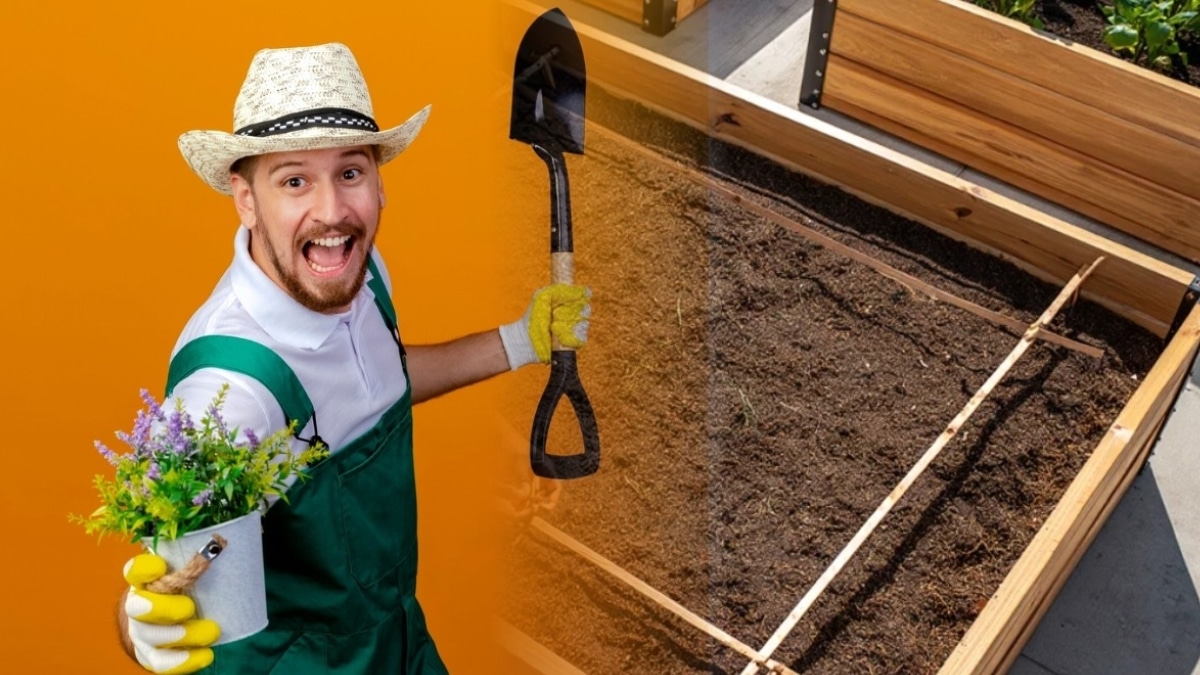 potager sur dalle de béton