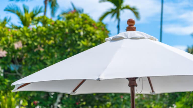 Ils fabriquent ce parasol végétal à zéro euro et sauvent leur jardin de la canicule