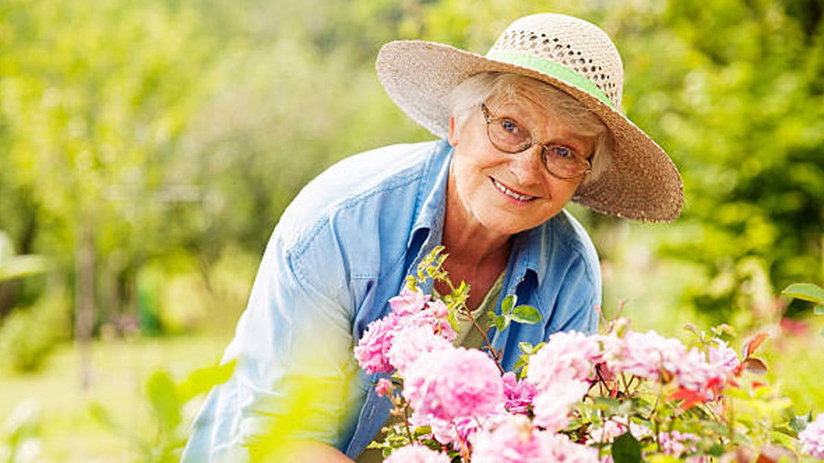Jardin :  » j’ai planté ces 12 fleurs et je ne m’occupe plus de rien, elles refleurissent chaque année »