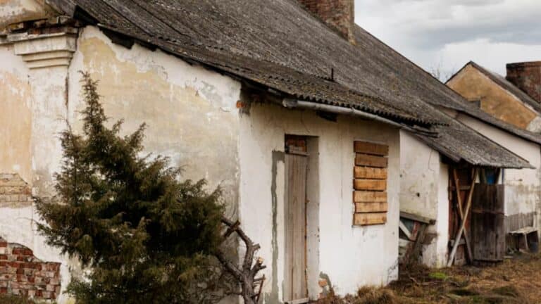 arbre maison abîmée