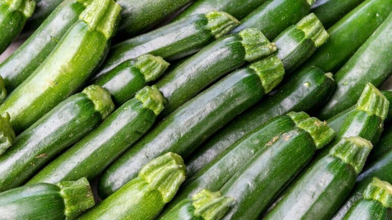 arrosage courgette