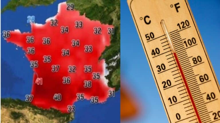 canicule france