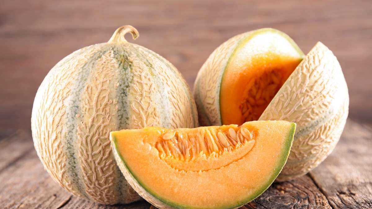 melon bien mûre