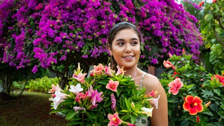 de belles fleurs