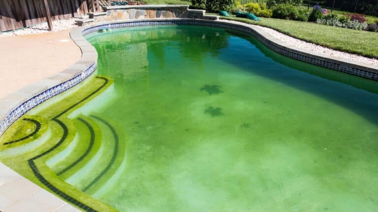 eau verte piscine