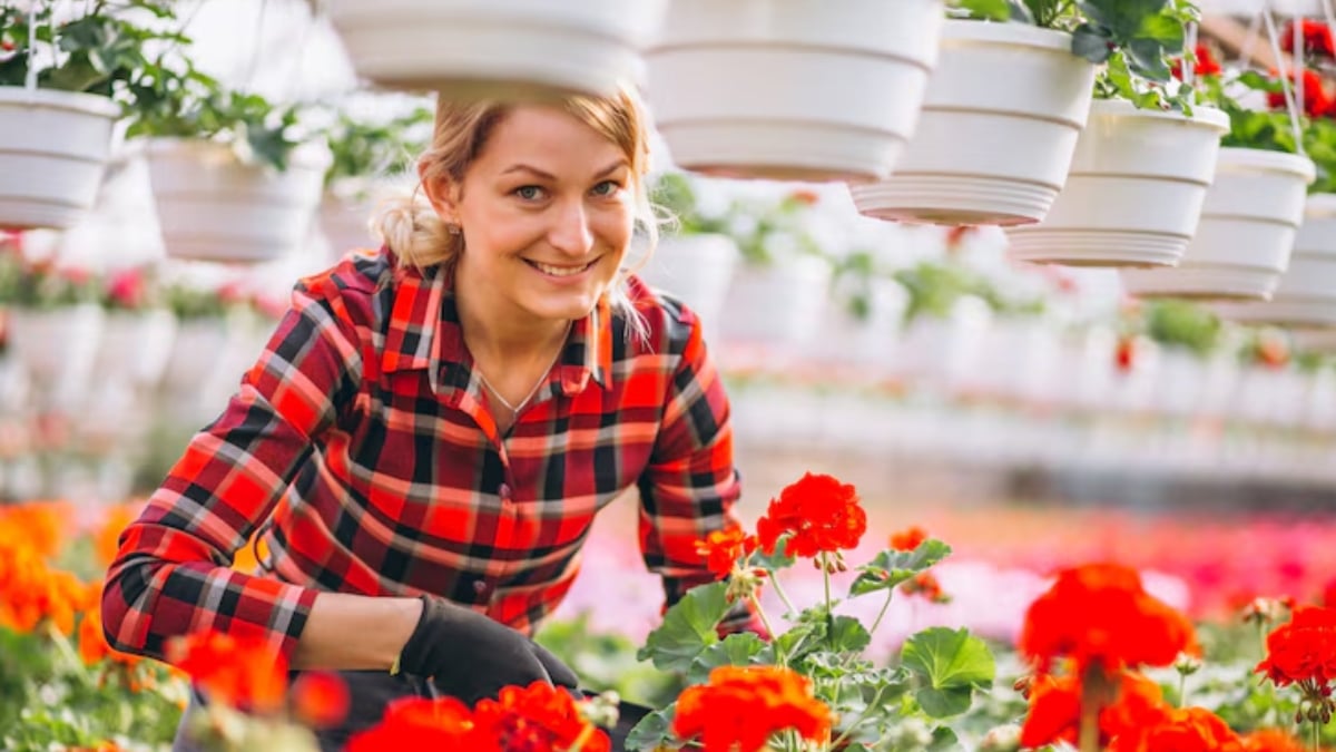 femme avec de beaux rosiers