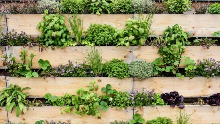 _jardin vertical