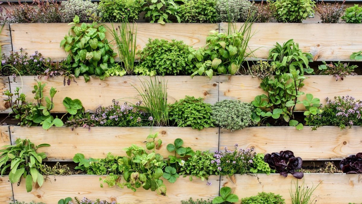 _jardin vertical