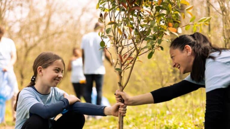 jeunes arbres avec cette toile ultra‑légère