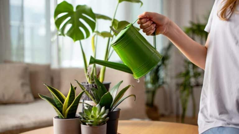 récupère l’eau de frigo avec un tamis