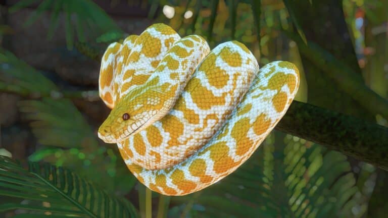 serpent coloré