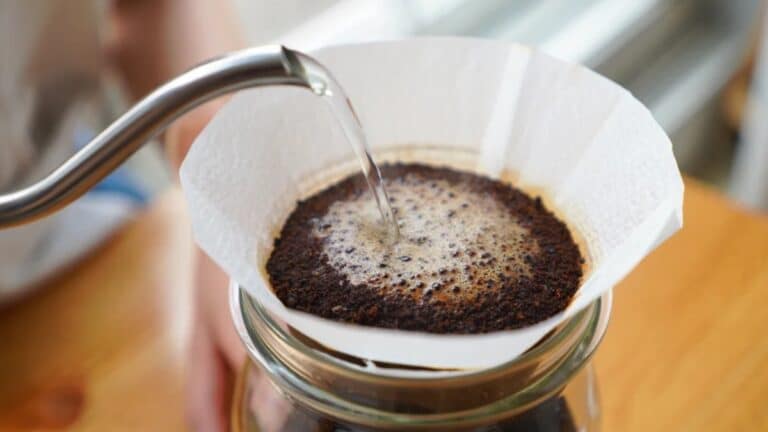 superpose un filtre à café dans mes semis