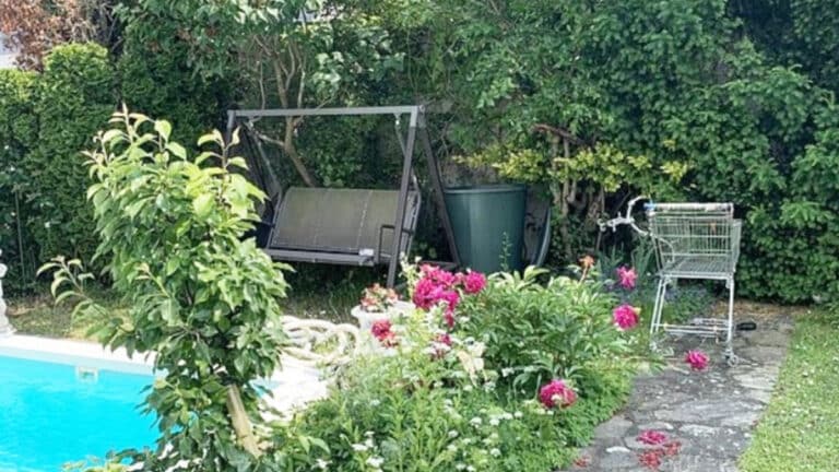 trouver le chat