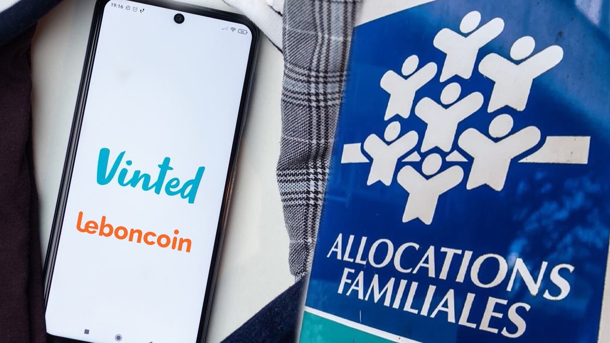 CAF : une allocataire condamnée pour avoir oublier de déclarer ses revenus Vinted et Leboncoin