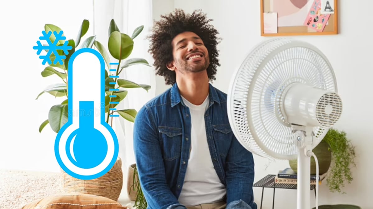 Canicule : cette astuce permet à votre ventilateur de souffler de l’air froid