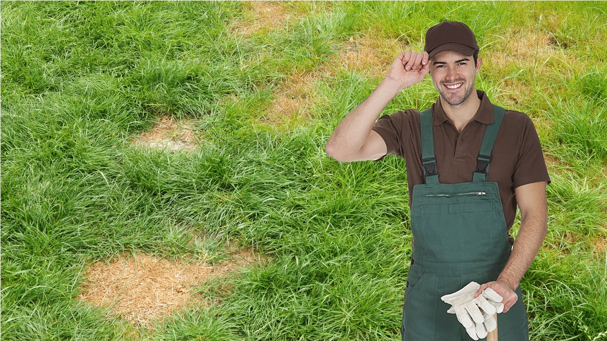 Pelouses : terminé les taches brunes, ce jardinier explique sa méthode pour les supprimer en quelques jours