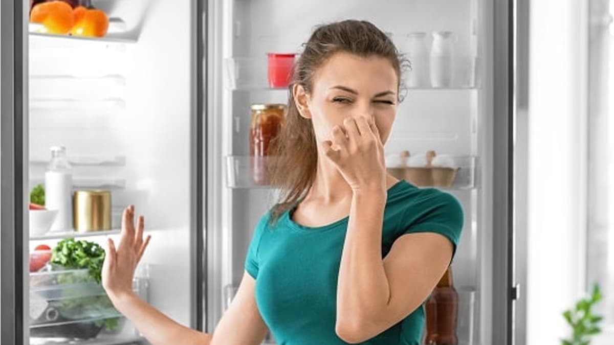 Canicule : votre frigo devient un nid à bactéries lors des fortes chaleurs, quels sont les bons gestes à avoir ?