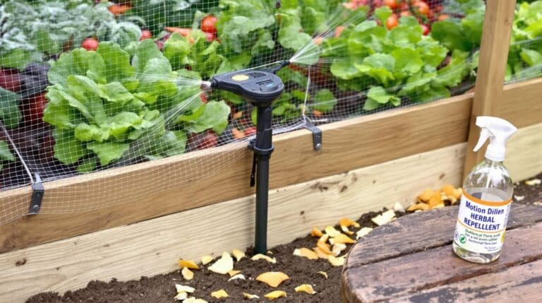découvrez des astuces simples pour éloigner le chat du voisin de votre potager: barrières et répulsifs naturels, sans nuire à l’animal, dès aujourd’hui.